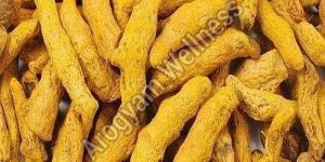 A Grade Organic Turmeric Finger