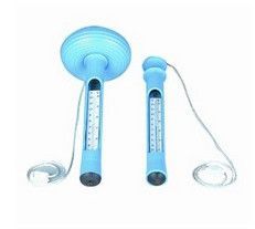 Industrial Thermometer