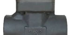 Forged Steel Check Valve