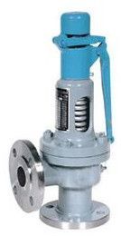 Safety Valve Spring Loaded