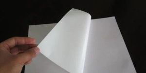 Transparent PVC Gumming Sheet