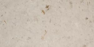 White Cotton Hand Made Seed Paper