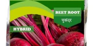 Hybrid Beet Root Seeds