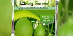 Hybrid Bottle Gourd (Round) Seeds