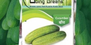 Hybrid Cucumber Seeds