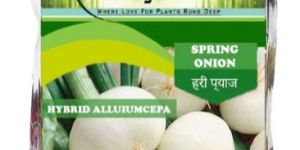 Hybrid Spring Onion Allium Cepa Seeds