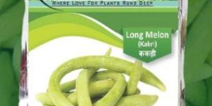 Open Pollinated Long Melon (Kakdi) Seeds