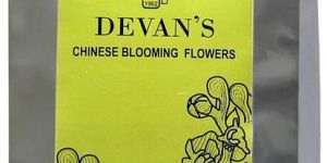 Blooming Flower Tea