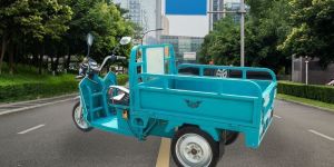 Plaudit E- Cargo- Rickshaw
