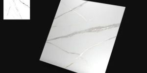 Carving Floor Porcelain Tiles