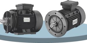 Premium Induction Motor