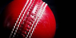 Leather Cricket Balls