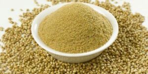 Coriander Powder