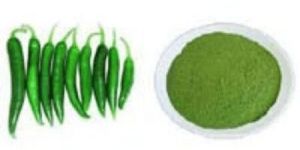 Dry Green Chilli Powder