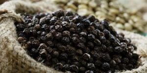 Black Pepper