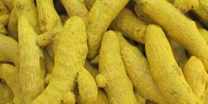 Turmeric Finger