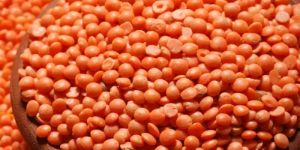 Masoor Dal