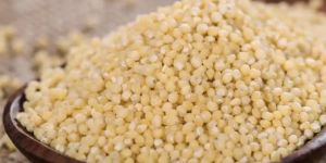 Tusker Berry Millet