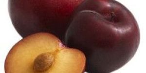 Plum