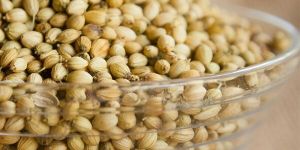 Coriander Seeds