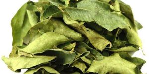 Dried Curry Leaves