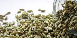 Fennel Seeds