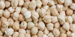 White Kabuli Chana
