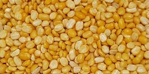 Moong Dal Split