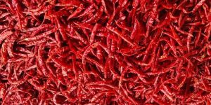 Dry Red Chilli