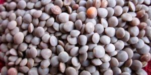 un-split masoor lentil