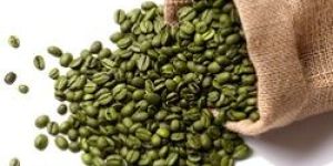 Green Coffee Bean Extract