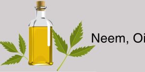 Organic Neem Oil
