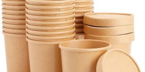 Disposable Ice Cream Cups