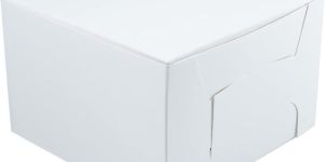 Premium Ecowraps White Cake Box