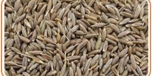Cumin Seeds
