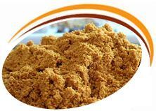 Curry Powder