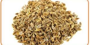 Dill Seeds