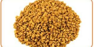 Fenugreek Seeds