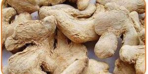 Ginger