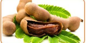 Tamarind