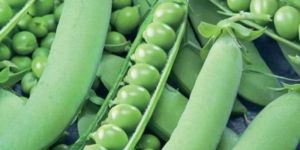 Frozen Garden Peas