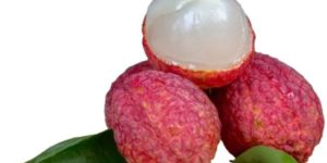Lychees