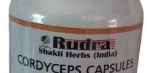 500mg Cordyceps Capsules