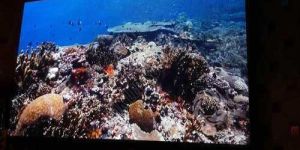 P1.25 Wall Mounted Indoor LED Display