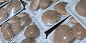 Portabello Fresh Mushroom