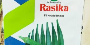 Rasika F-1 Hybrid Bhindi Seeds