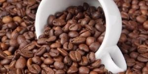 Roasted Robusta Coffee Beans