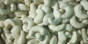 Cashew Kernel
