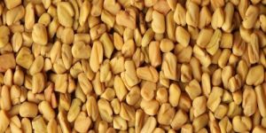 Fenugreek Seeds