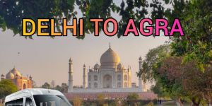 Same Day agra Tour by 12 Seater luxury Tempo Traveller